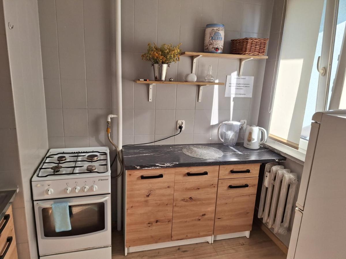 Apartment Krynicka Wroclaw